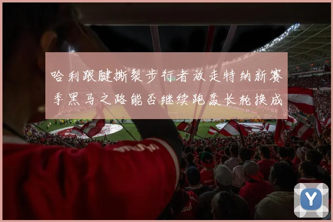 哈利跟腱撕裂步行者放走特纳新赛季黑马之路能否继续跑轰长轮换成关键