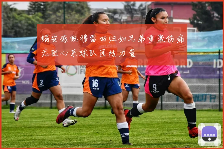 锡安感慨穆雷回归如兄弟重聚伤痛无阻心系球队团结力量
