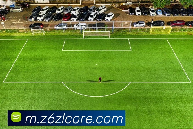 Z6尊龙凯时APP 封面图