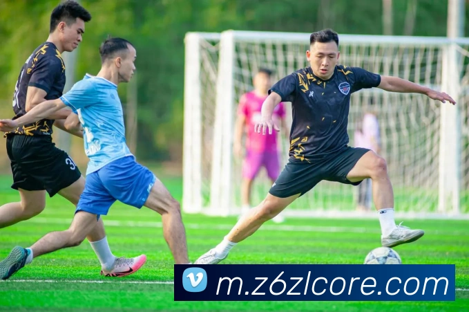 数据防护可视化